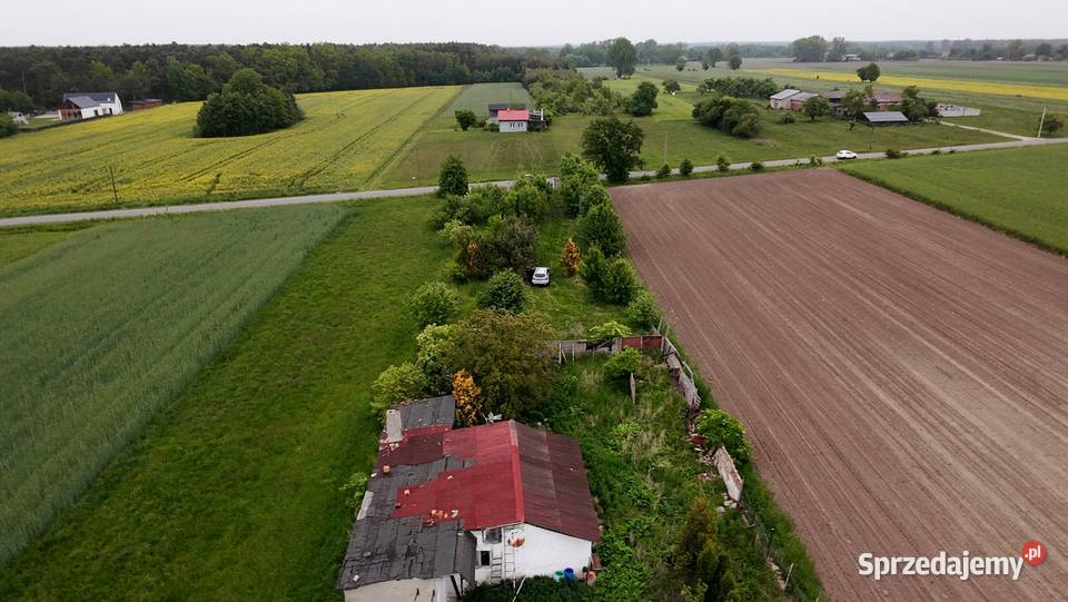 Zgniłe Błoto Błoto C Aleksandrów Łódzki