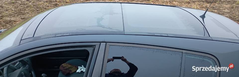 Renault Megane 16i GAZ klima panorama manualna małopolskie Olkusz