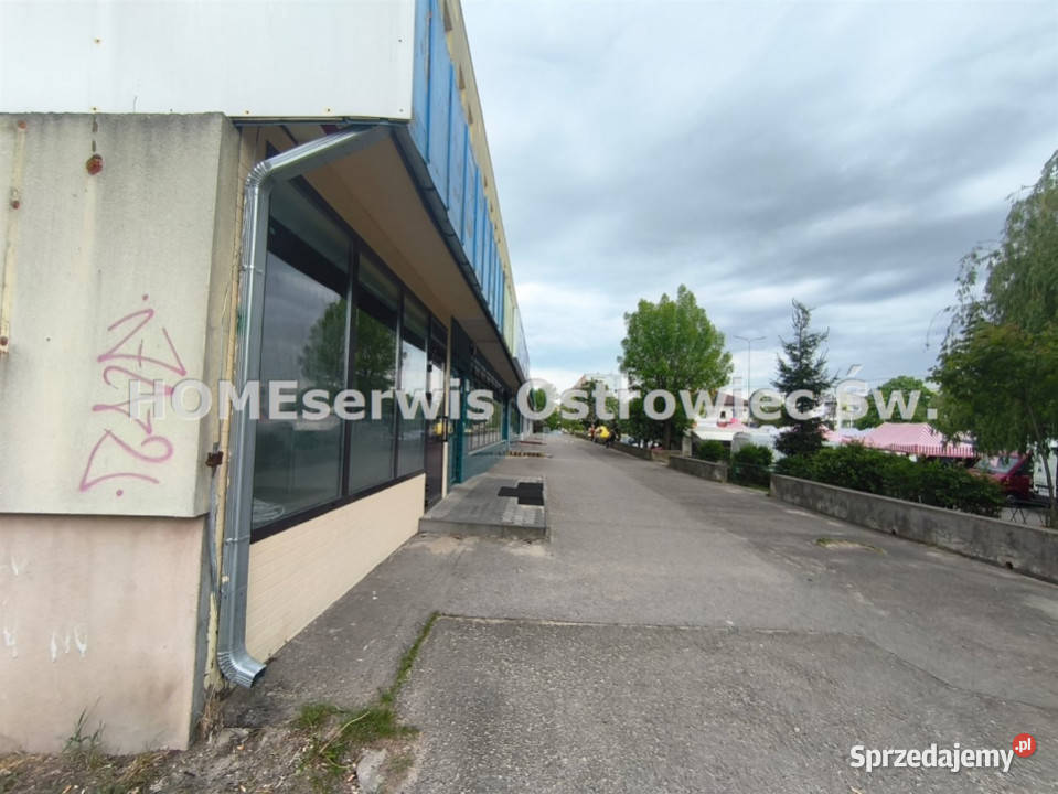 Do wynajęcia lokal Ostrowiec Świętokrzyski 47m2 Wynajem