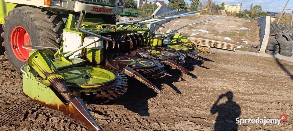 Claas Ru 600 podlaskie Poświętne