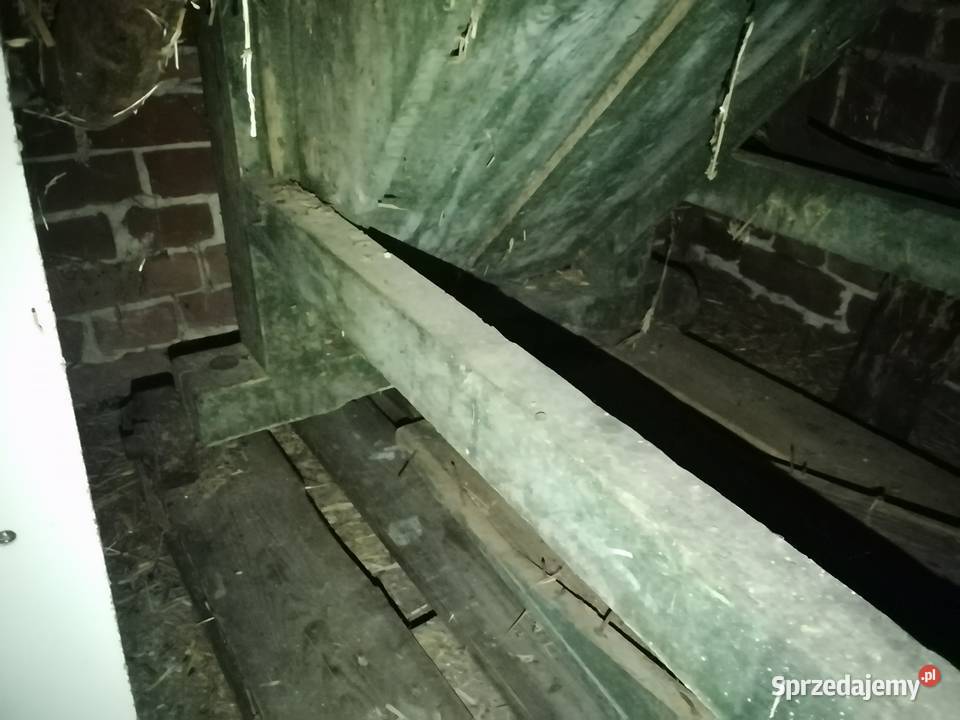 Sieczkarnia kukurydzy Ostrzeszów