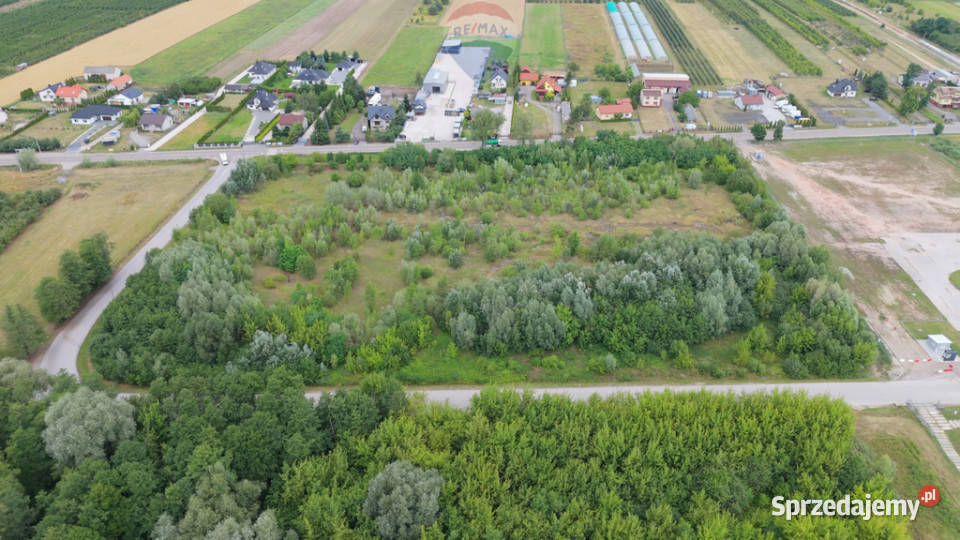 Grunt pod usługi magazyny produkcję automoto Słomczyn sprzedam