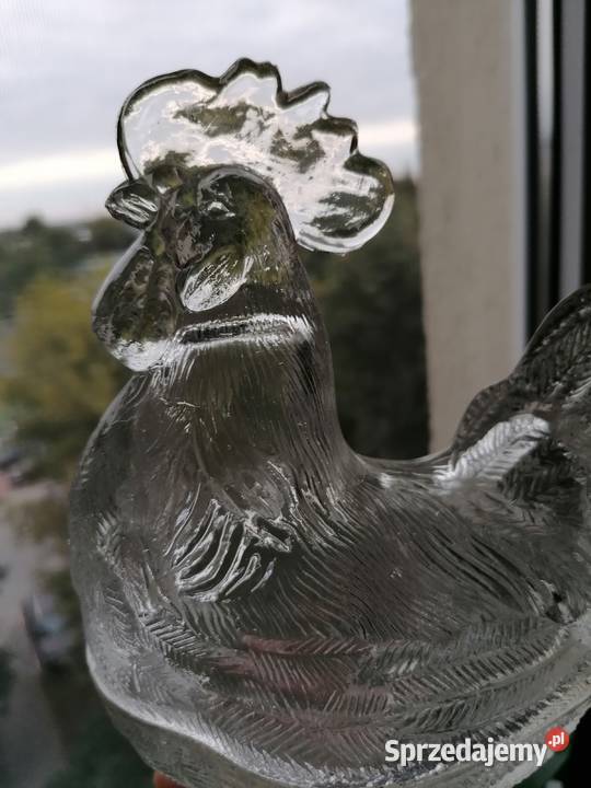 Kogut bombonierka z Ząbkowic Mielec