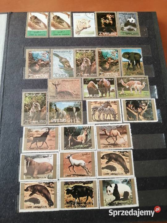Album filatelistyczny że znaczkami