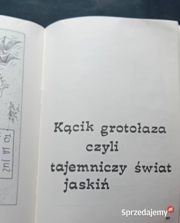 Witold Sas Nowosielski ja kocham te góry Text Koźminek