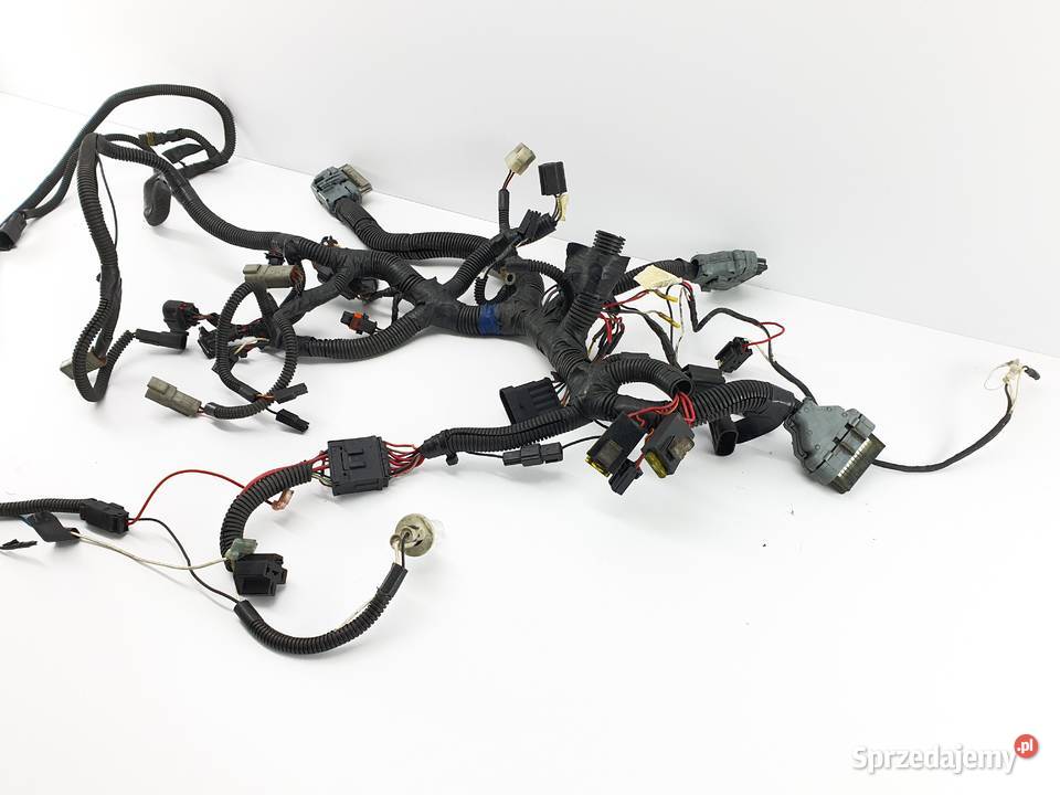 Wiazka Instalacja Wtyczka Kostka Ski Doo Summit Łódź