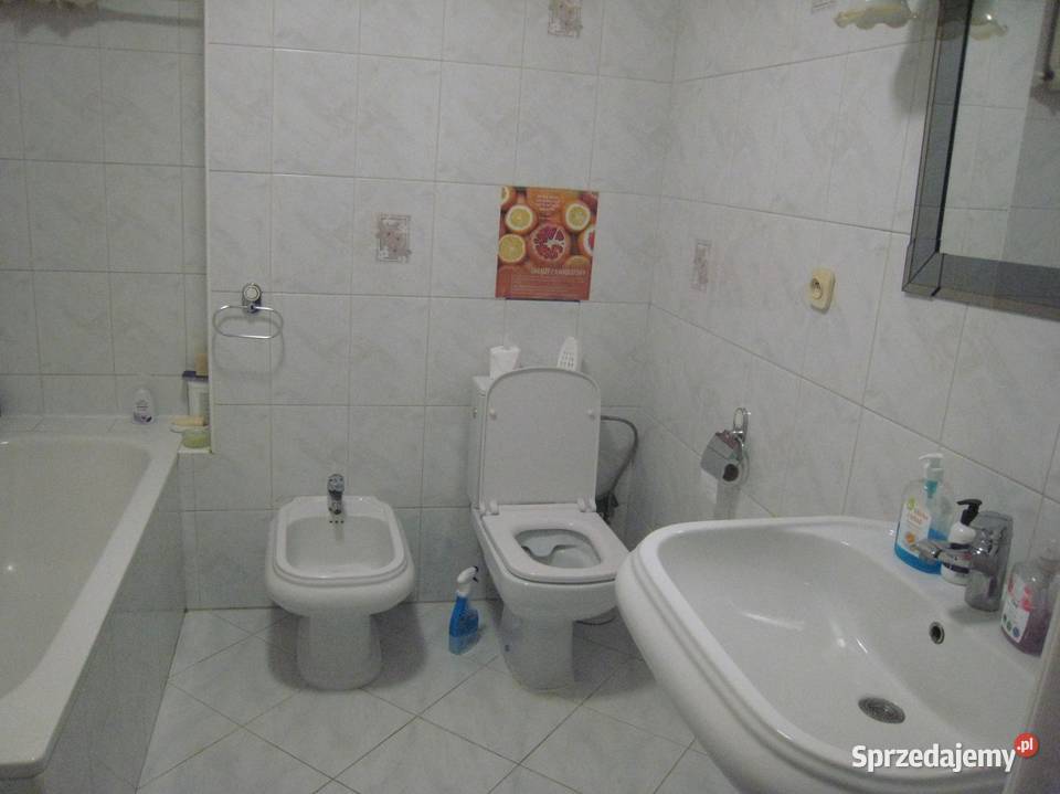 Mieszkanie 101 m2 Szczecin Śródmieście piwnica