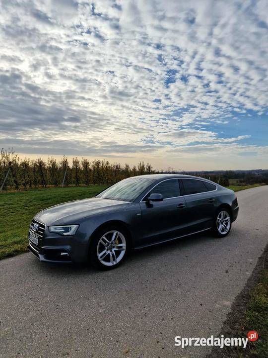 Audi A5 Klimontów