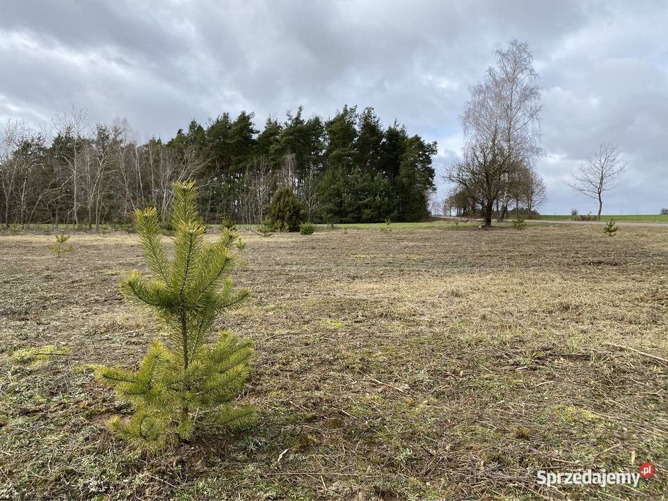 Dąbrówka gm Czerwonka działka budowlana 1100m sprzedam