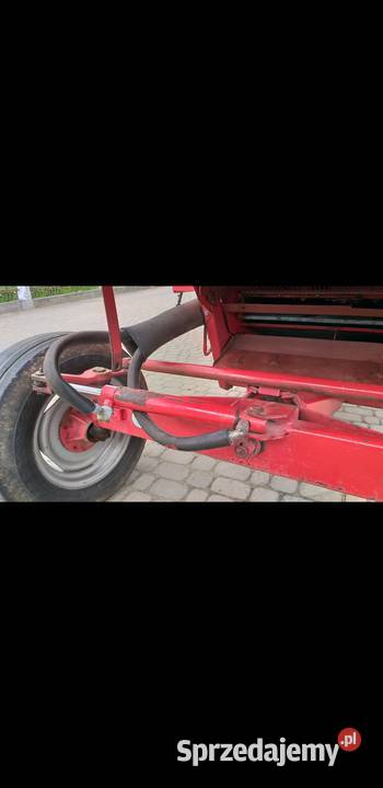 Massey Ferguson 240Nowe pony Kraczkowa