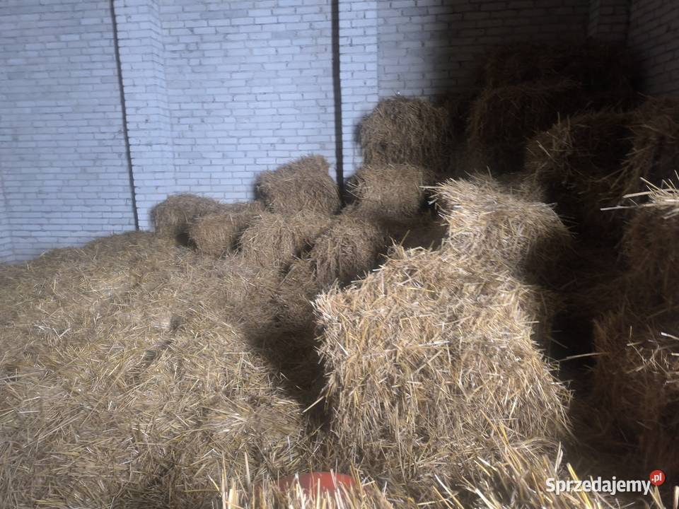 Słoma w kostkach mazowieckie Nasielsk