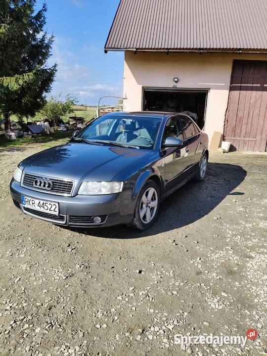 Audi a4 b6 nieuszkodzony A4 Bzianka
