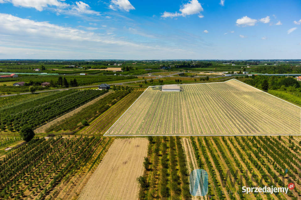 sprzedaży gruntu 56500m2 Józefów asfalt mazowieckie