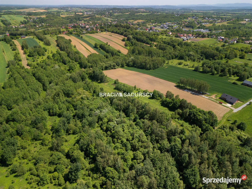 sprzedaży działki 4800 metrów Bodzanów
