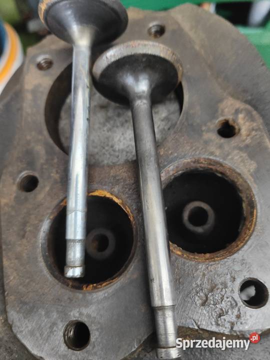 Silnik NSU 301t Skała