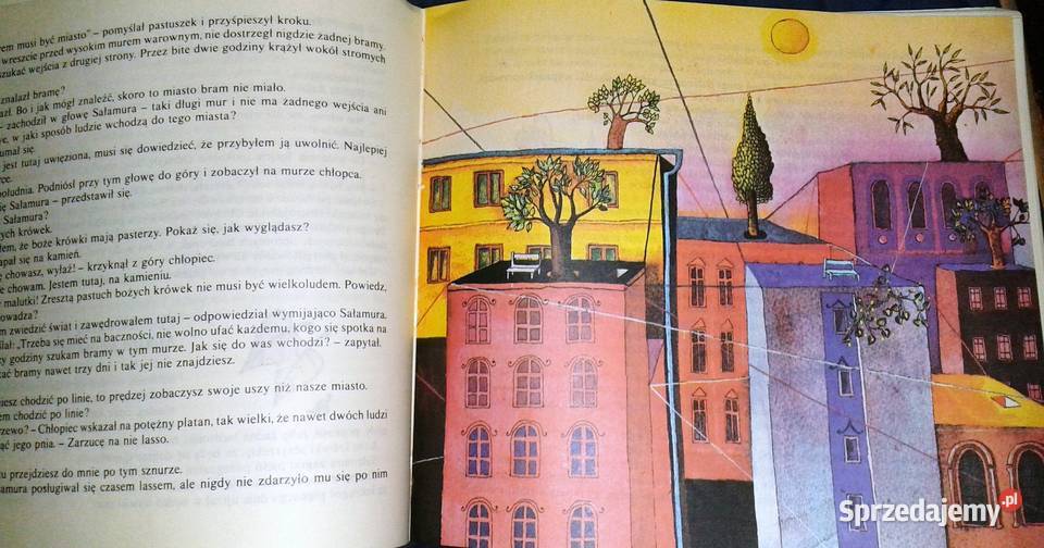 Przygody Sałamury Arczył Sułakauri Rok wydania 1987 Chełm