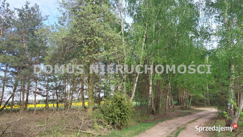 Sprzedam działka Grzmiąca 3511m2