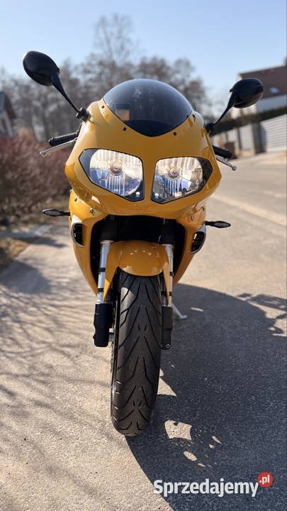 Triumph Daytona 955i złoty Poznań