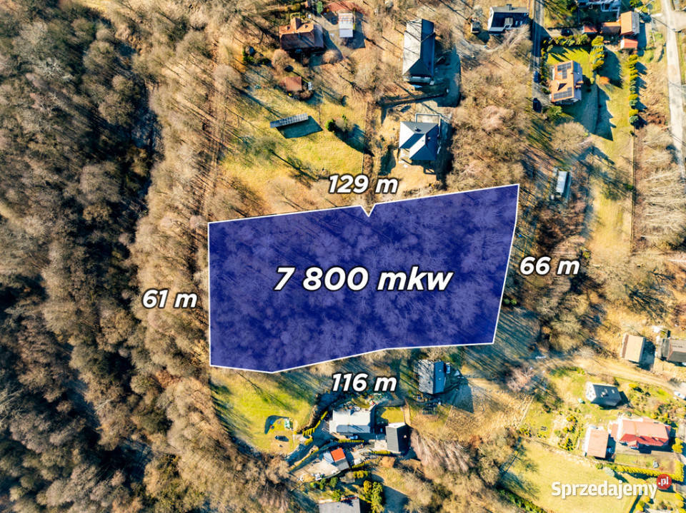 Budowlana działka w Golkowicah 7800m2 Golkowice