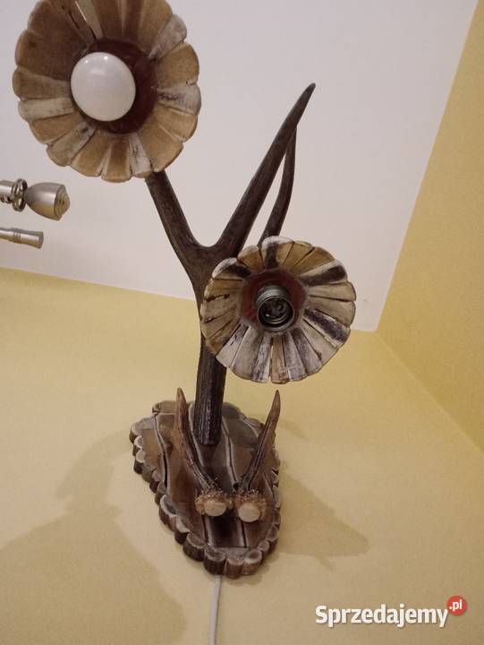 Poroże jelenia łódzkie Pelagia