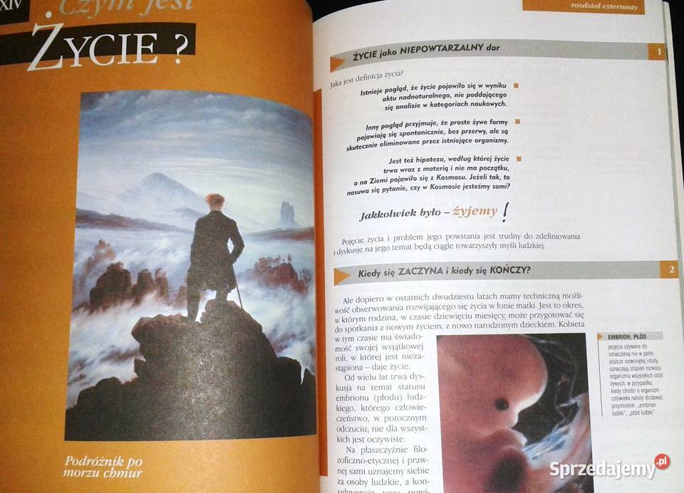 Wychowanie do życia w rodzinie Felicja Chełm