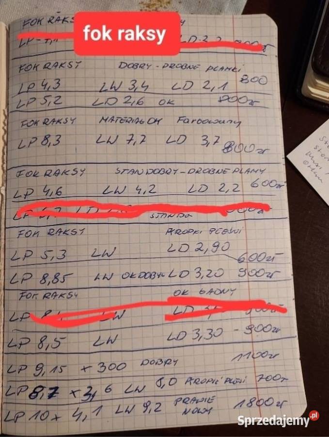 Zagiel Fok na raksy Sport i Wypoczynek wielkopolskie