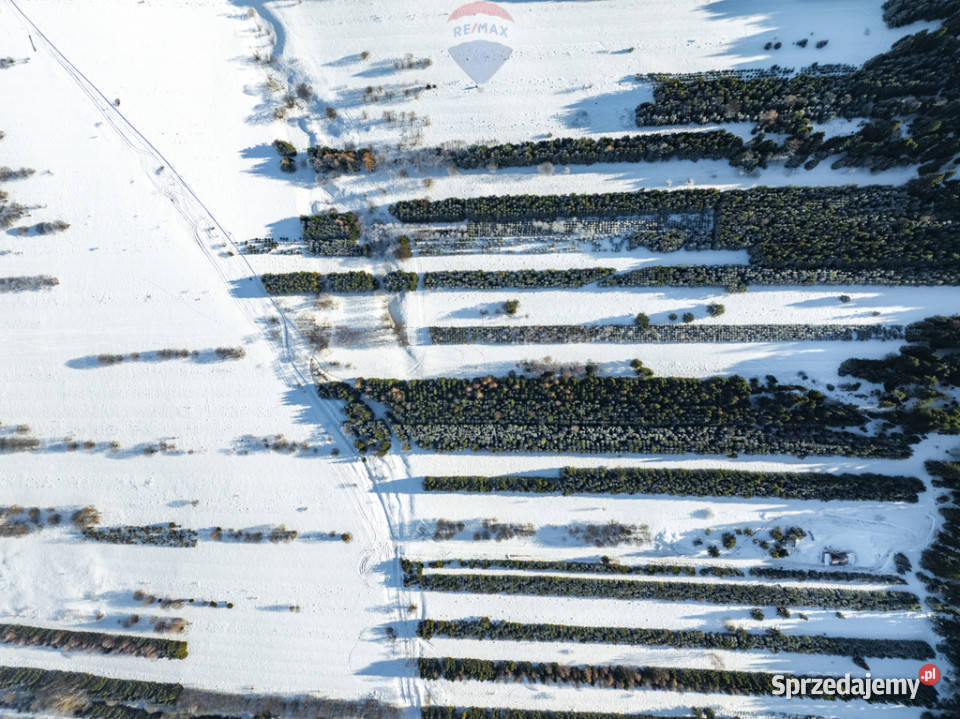 Pakiet działek w Frydmanie