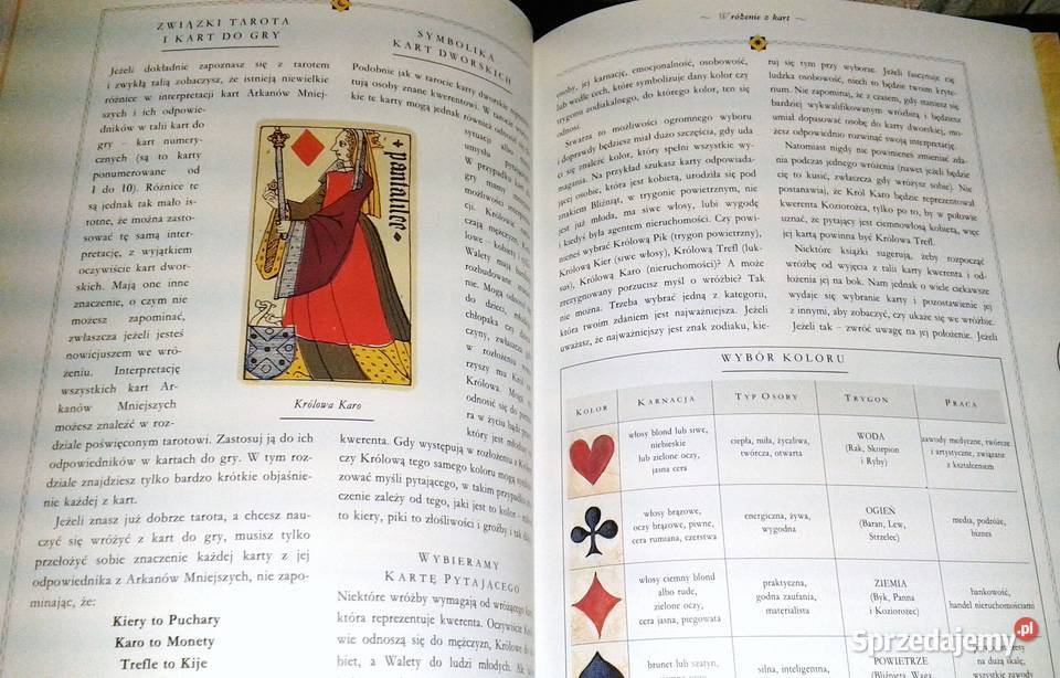 poznać przeznaczenie Jane Struthers twarda Chełm