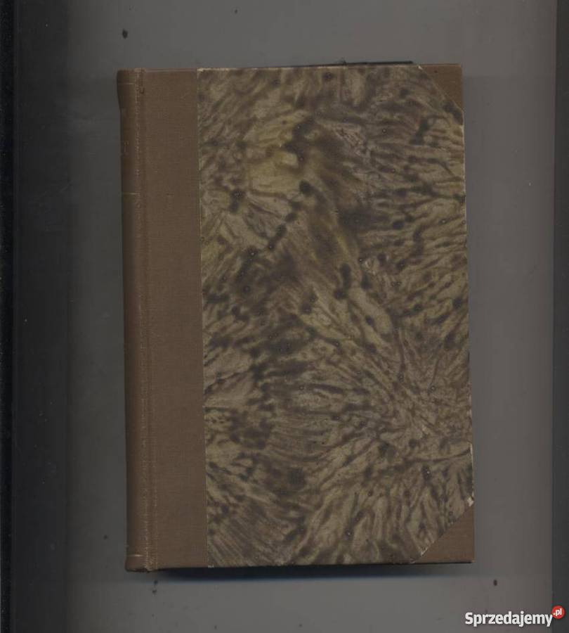 Głupiec Szczecin sprzedam