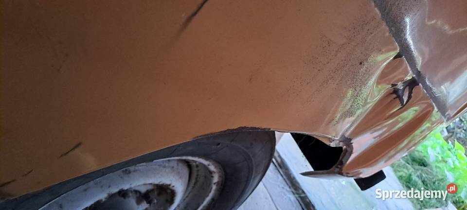 Tarpan blotniki Mińsk Mazowiecki