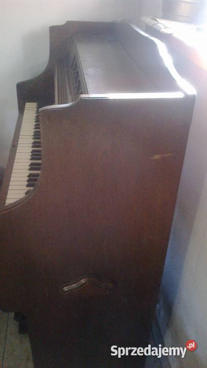 Fisharmonia Organy Mannborg Gogołowice sprzedam