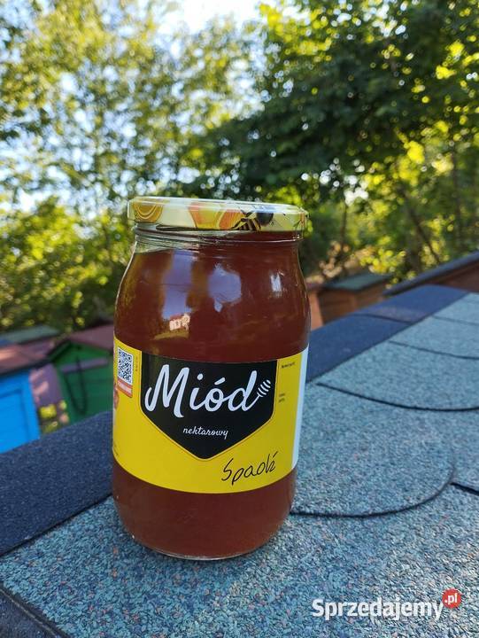Miod wielokwiatowy i spadziowy Krzywe