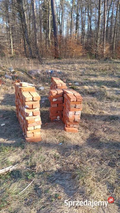 Sprzedam cegły z rozbiurki całe oczyszczone pomorskie Luzino