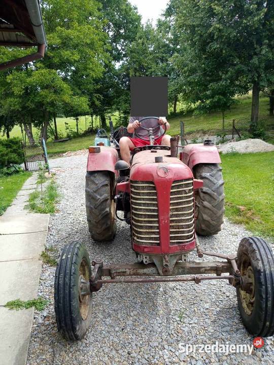 Ciągnik Zetor T25 zabytkowy podkarpackie Brzozów