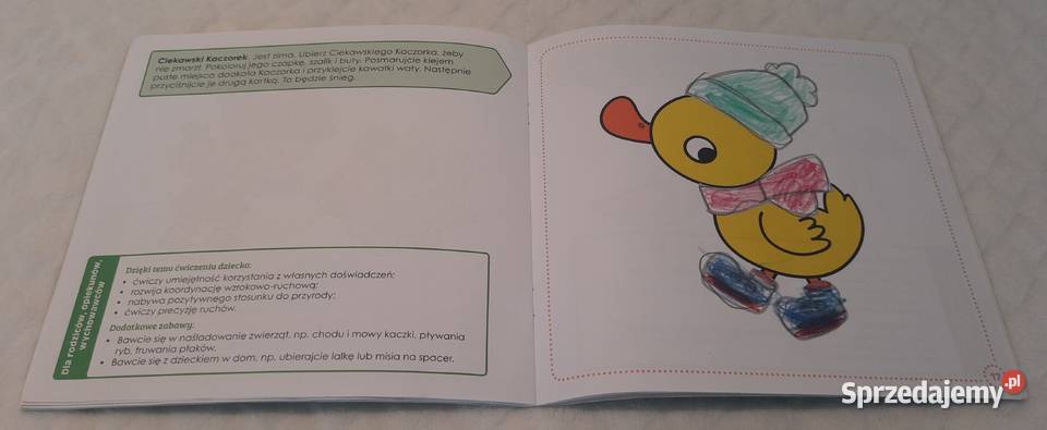 Ćwiczenia 2latka Domowa Akademia Zielona Sowa Książki dla dzieci Czeladź