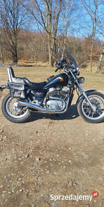 Honda Shadow 500 Kamienica Szlachecka