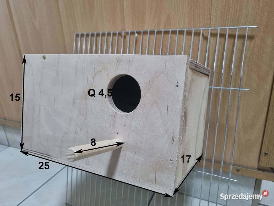 Budka egzotyki Ptaki