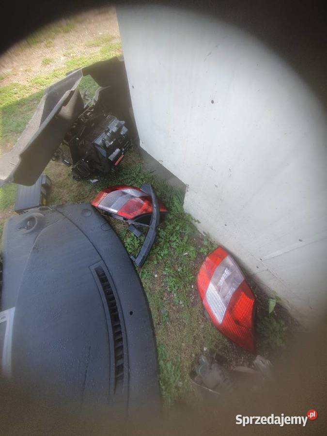 Renault scenic 19 części osobowe Kozłów sprzedam