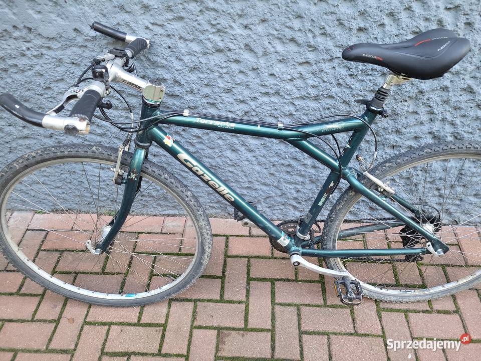 Rower 28 Gazelle Torrente szosowy fitness Poznań