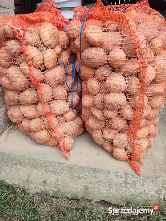 Ziemniaki IRYS Jadalne Polskie Prosto z Pola lubelskie