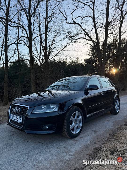 Audi A3 8P 2009r 20 TDI CR