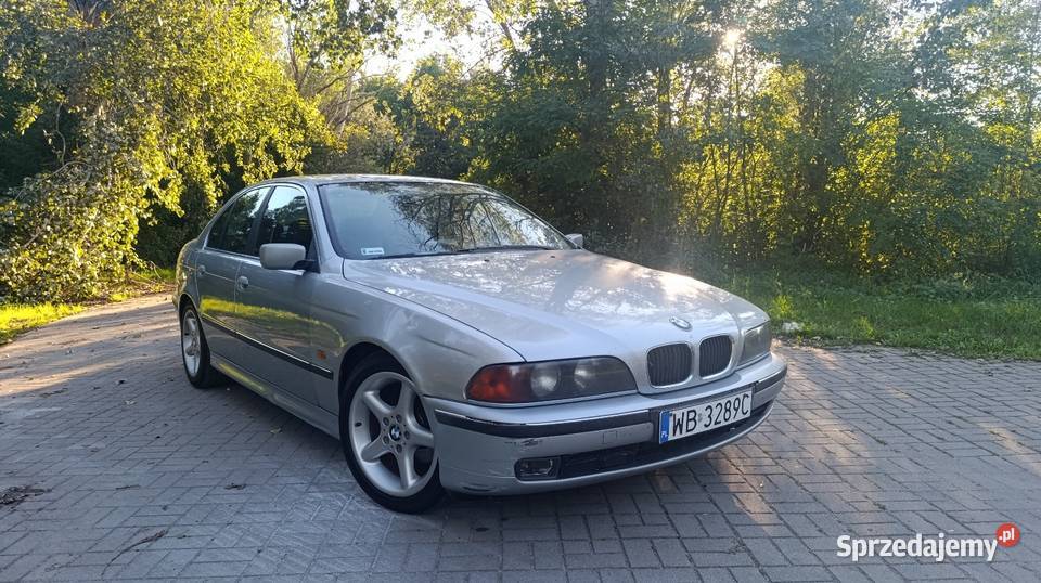 BMW 5 E39 25 Seria 5 Końskie