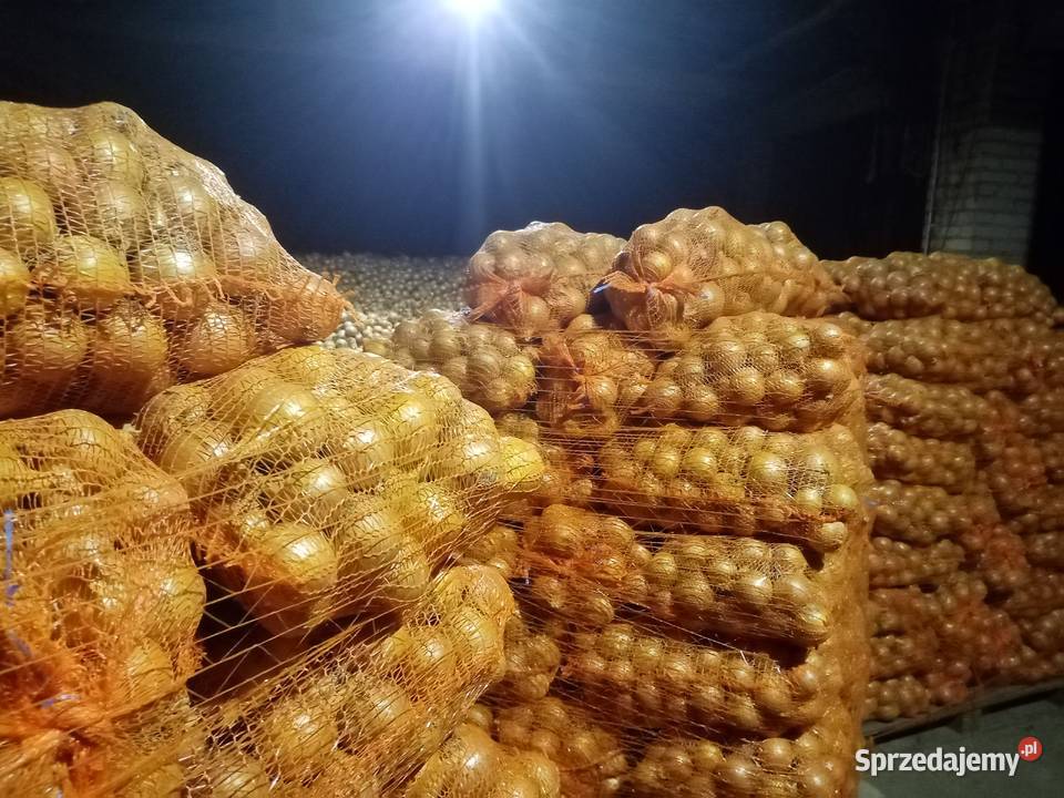 Cebula worek 15 Rostkowice