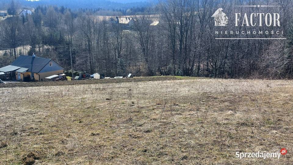 Działka budowlana 1667 ara w Bieśniku 1186S2026 małopolskie Bieśnik sprzedam