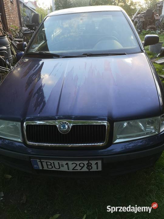 Skoda Octavia Świniary
