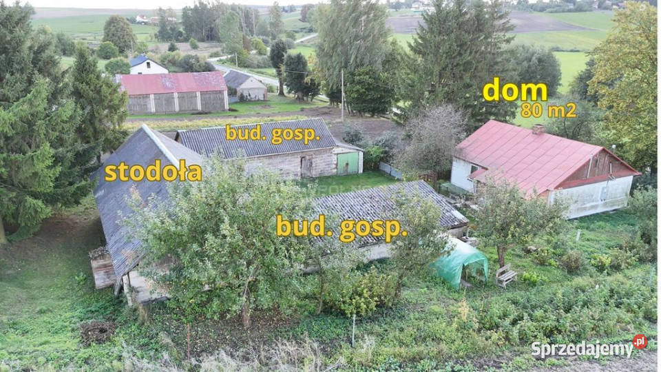 Zadbane siedlisko gotowe do zamieszkania Sprzedaż Mołodiatycze