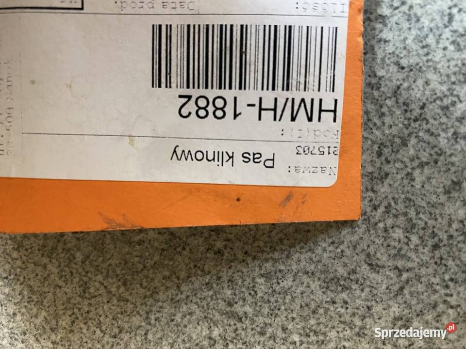 Pas klinowy jezdny nowy Kobyla Góra