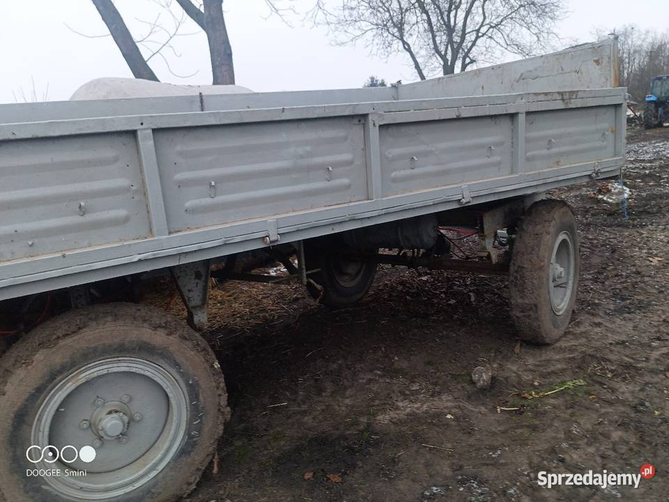 Autosan D46 Strzyżów