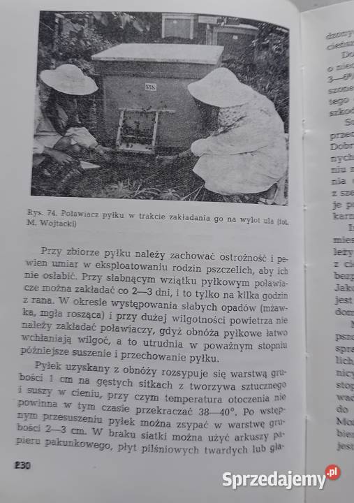 M Wojtacki Produkty pszczele i przetwory miodowe Koźminek sprzedam