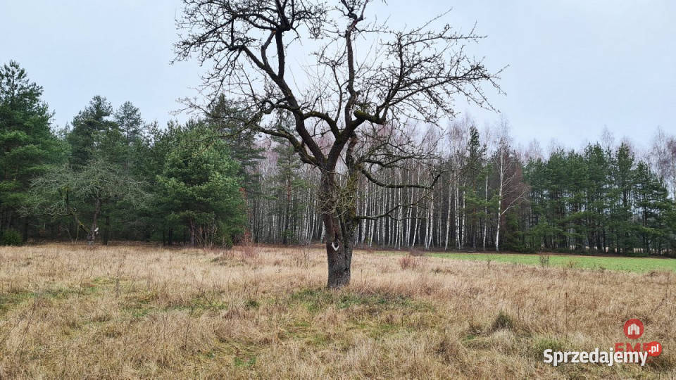 Grunt Pieńki 1911m2